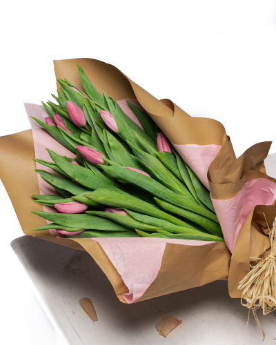 Bunch of Tulips - 